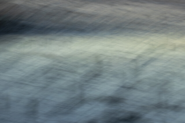 Between Land and Shore 