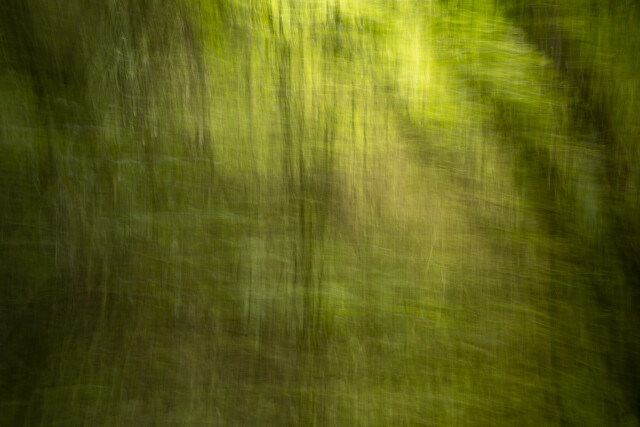 Green Light 