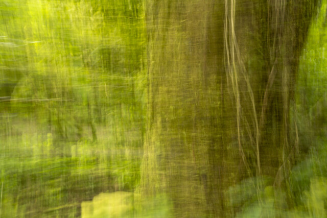  Into the Green