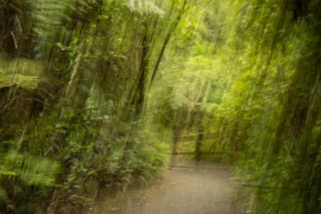 Wandering