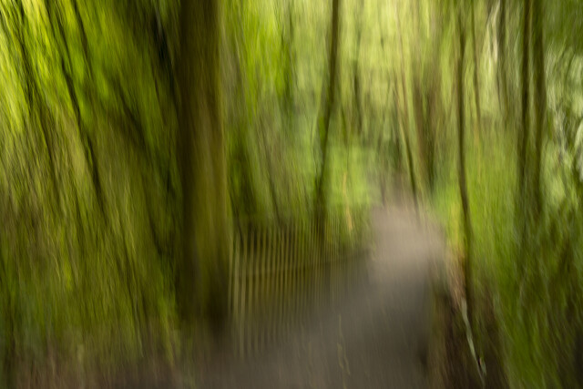 Along the Way
