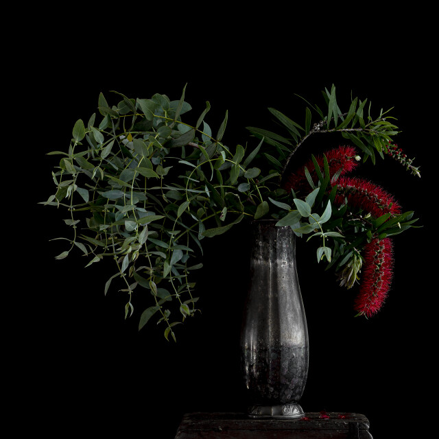 Silver Botanical