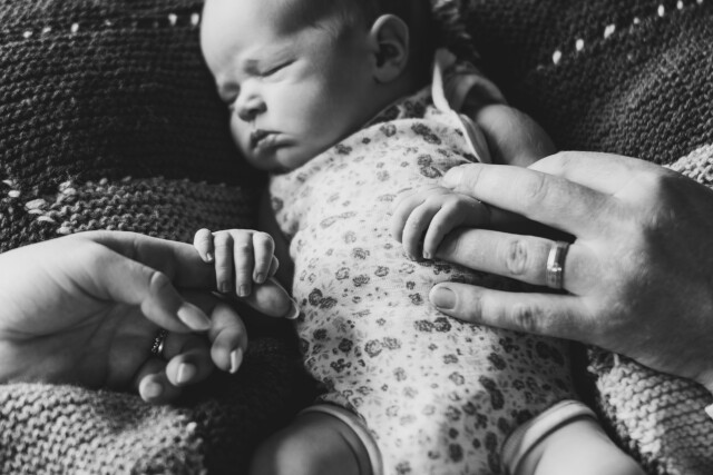 Baby Olive