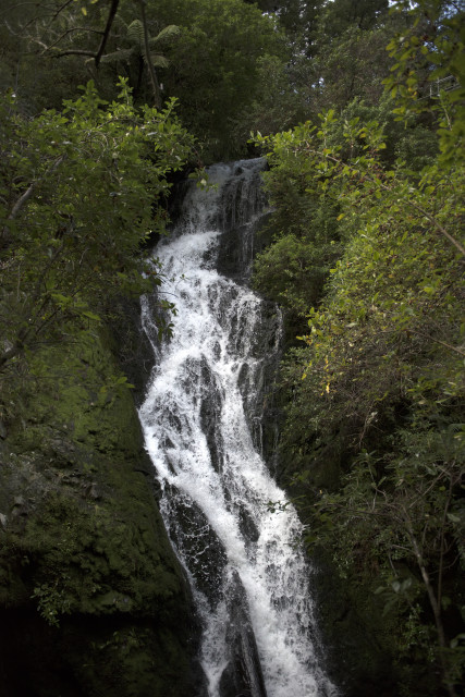 Waterfall @ Barnes Dam