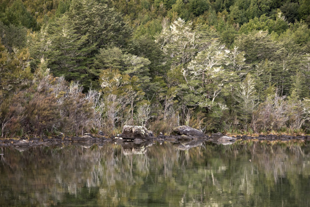 Lake Rotoiti