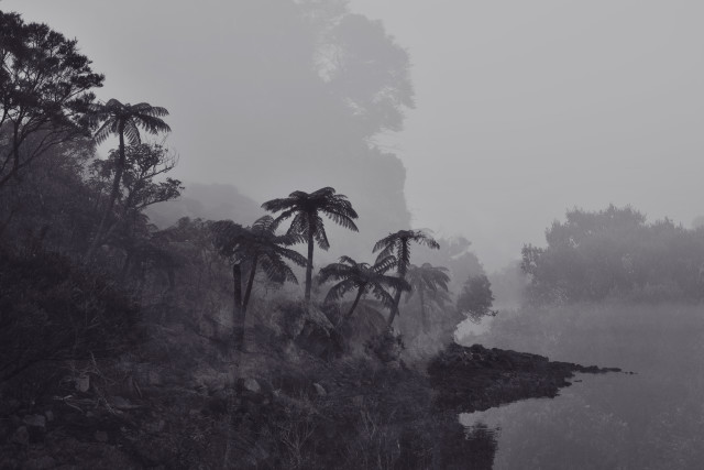 Prehistoric