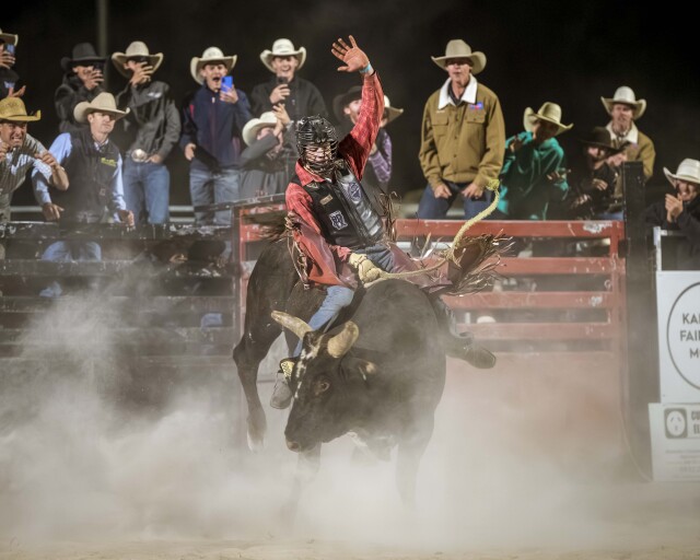 Rylstone Bullarama