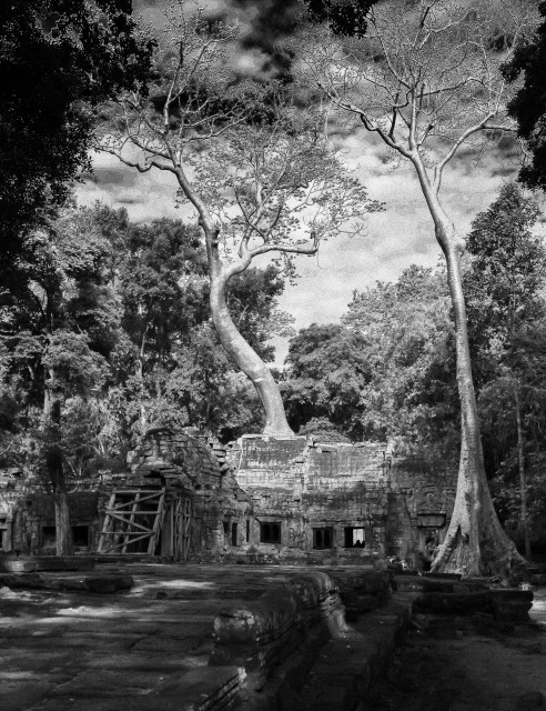 Ta Prohm Angkor