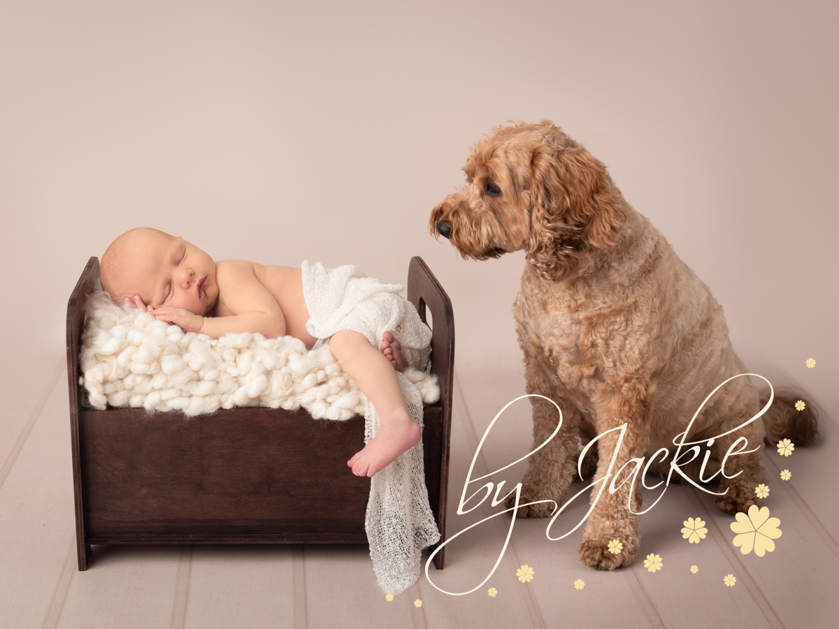 Newborn and dog portrait. Copyright Babies by Jackie