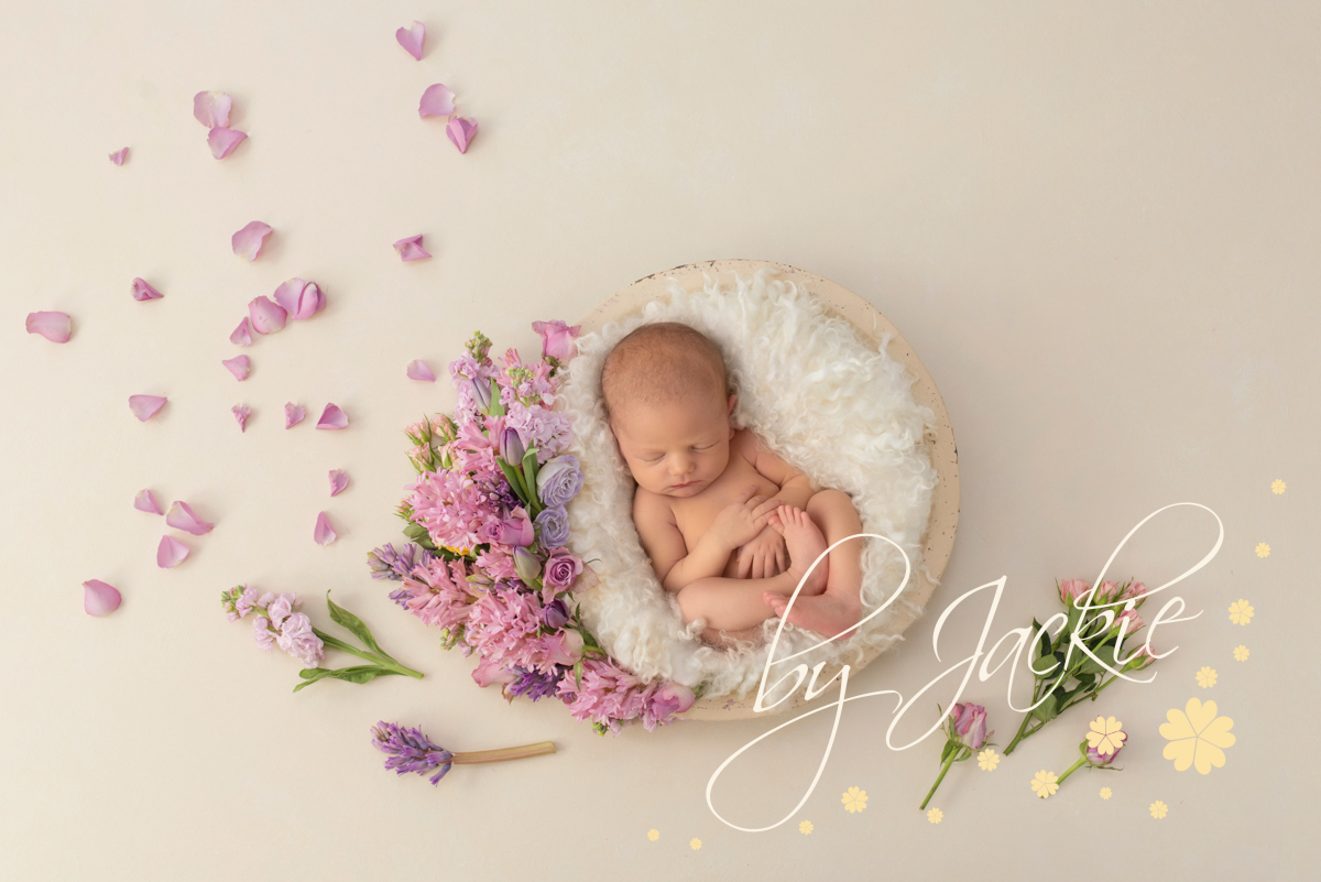 Baby girl asleep in bowl photograph by Babies By Jackie Photography, York, Leeds, Harrogate, Hull