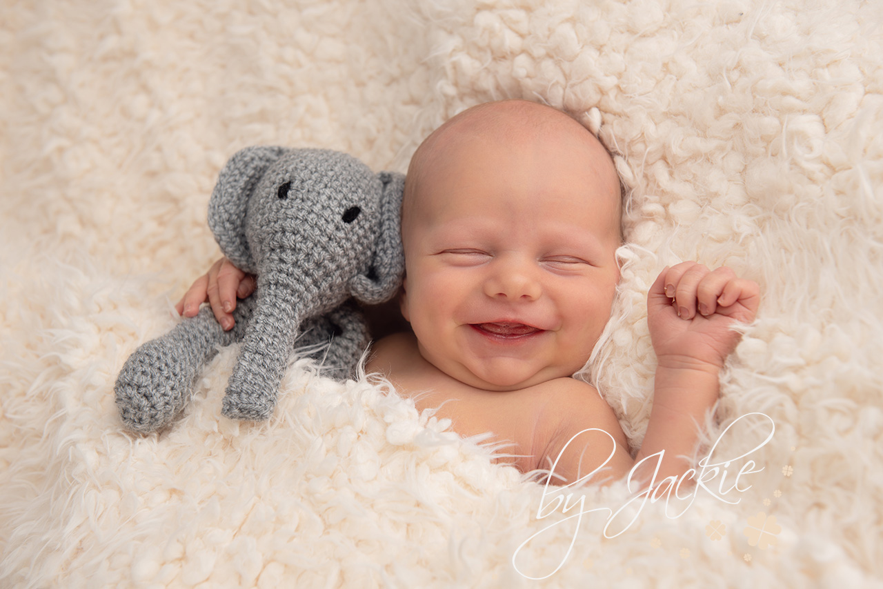 Image of newborn baby boy laughing with elephant teddy by Babies By Jackie Photography York, Leeds, Harrogate, Hull