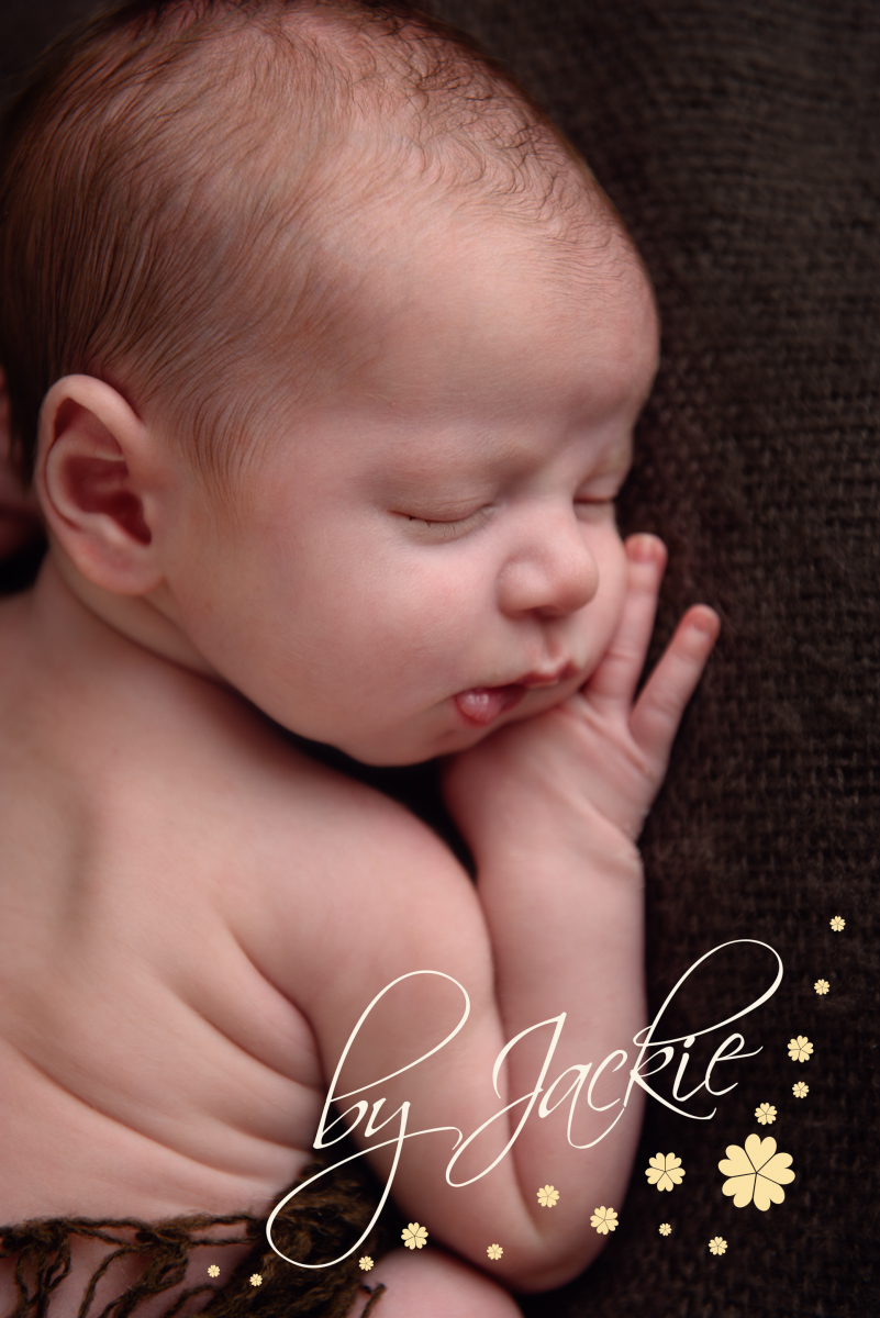 Newborn baby boy portrait on brown by Babies By Jackie Photography