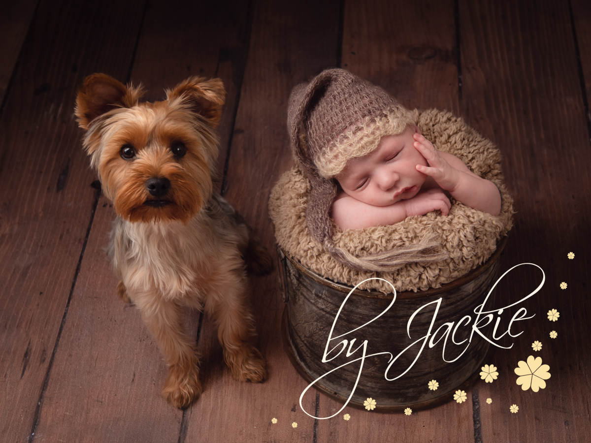 Newborn baby boy asleep in bed with doggy friend watching over. Photographed by Babies By Jackie Photography, specialist baby photographer in York, Leeds, Harrogate