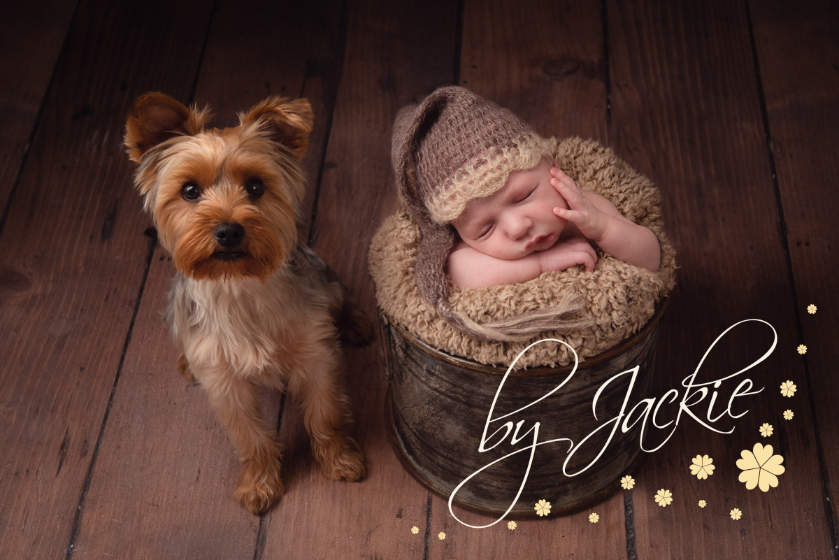 Newborn baby boy asleep in bed with doggy friend watching over. Photographed by Babies By Jackie Photography, specialist baby photographer in York, Leeds, Harrogate