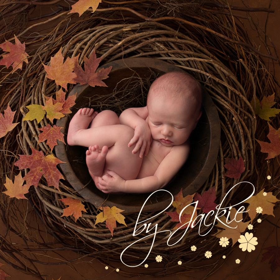 Baby nest with autumn leaves