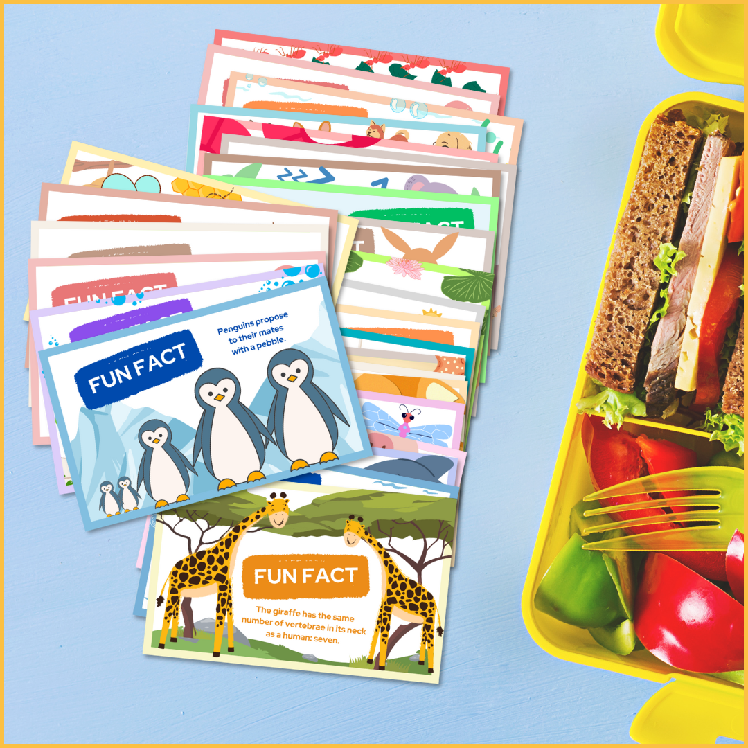 Animal Facts Lunchbox Cards