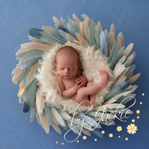 Newborn Portrait Experience by Babies by Jackie Photography