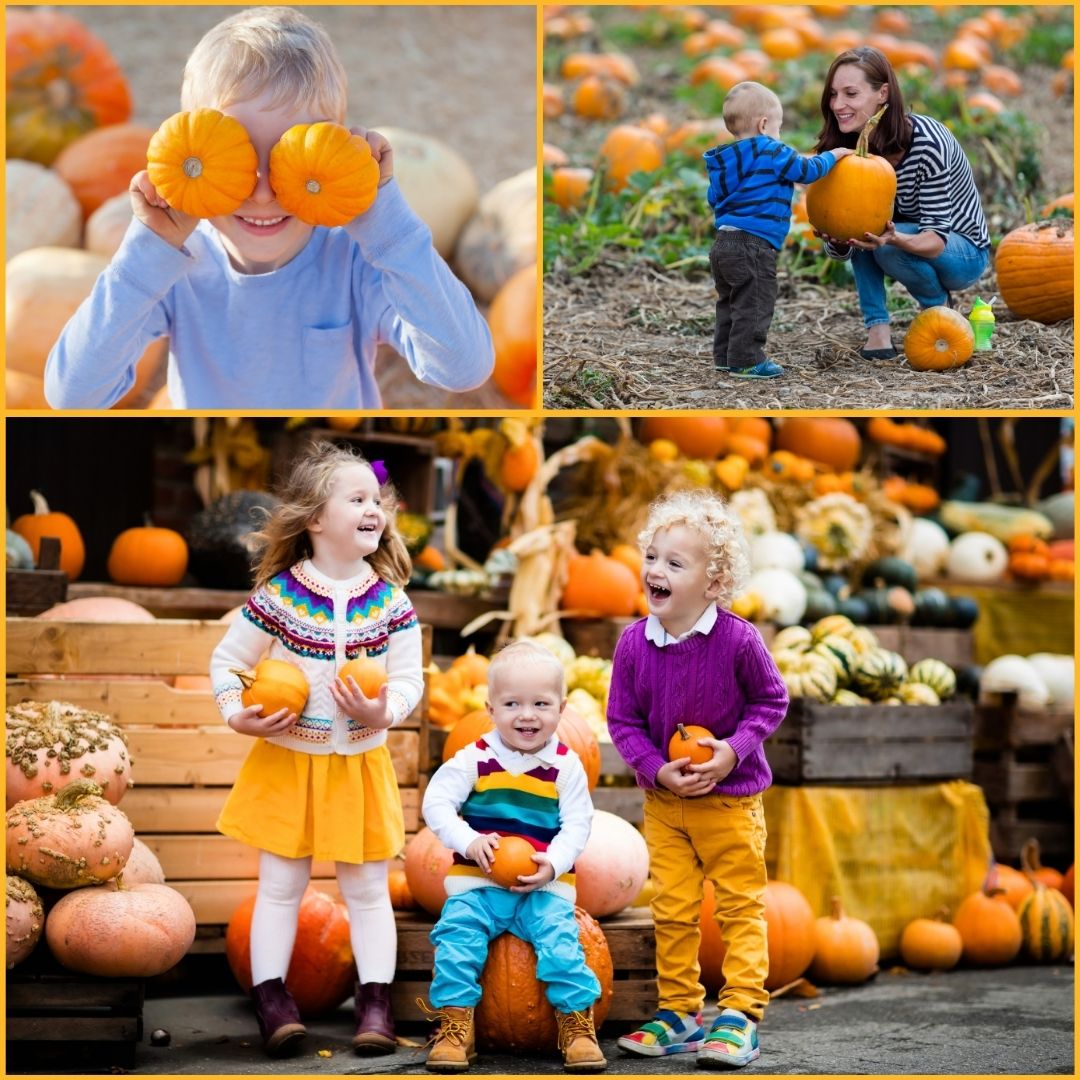Fun collecting pumpkins