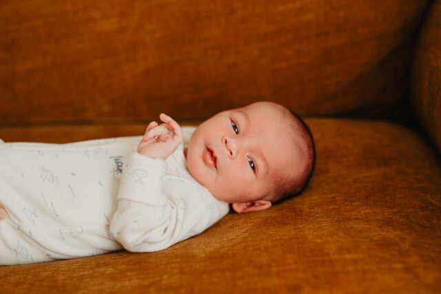 Introducing Judah