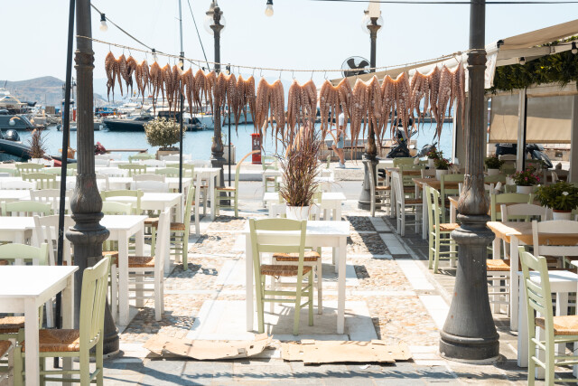 Octopus / Naxos Greece