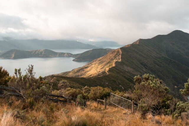 Pelorus Sound Forsyth Bay / New Zealand