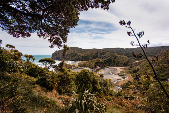 Anawhata / New Zealand