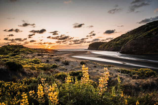 Bethells Beach / New Zealand