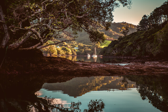 Port Fitzroy / New Zealand