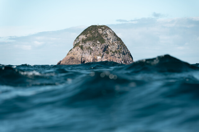 Channel Island / New Zealand