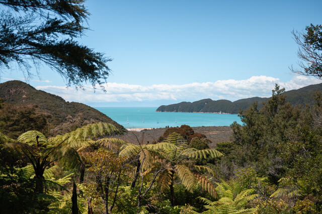  Onetahuti / Abel Tasman New Zealand
