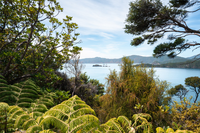 Queen Charlotte / New Zealand