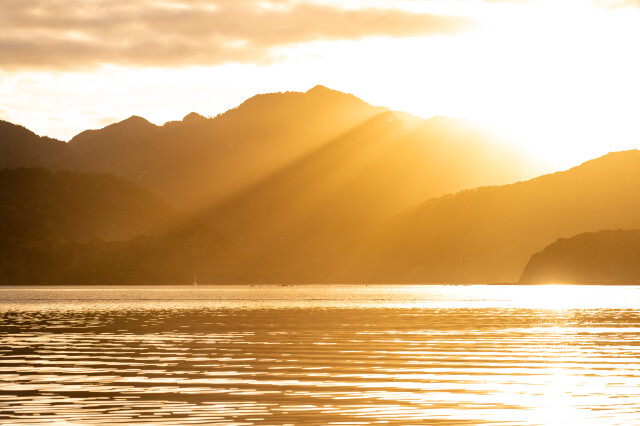 Morning Rays Port Fitzroy / New Zealand