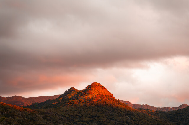 Red Mountain Sunset Great Barrier Island / New Zealand
