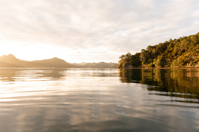 Good Morning / Port Fitzroy New Zealand