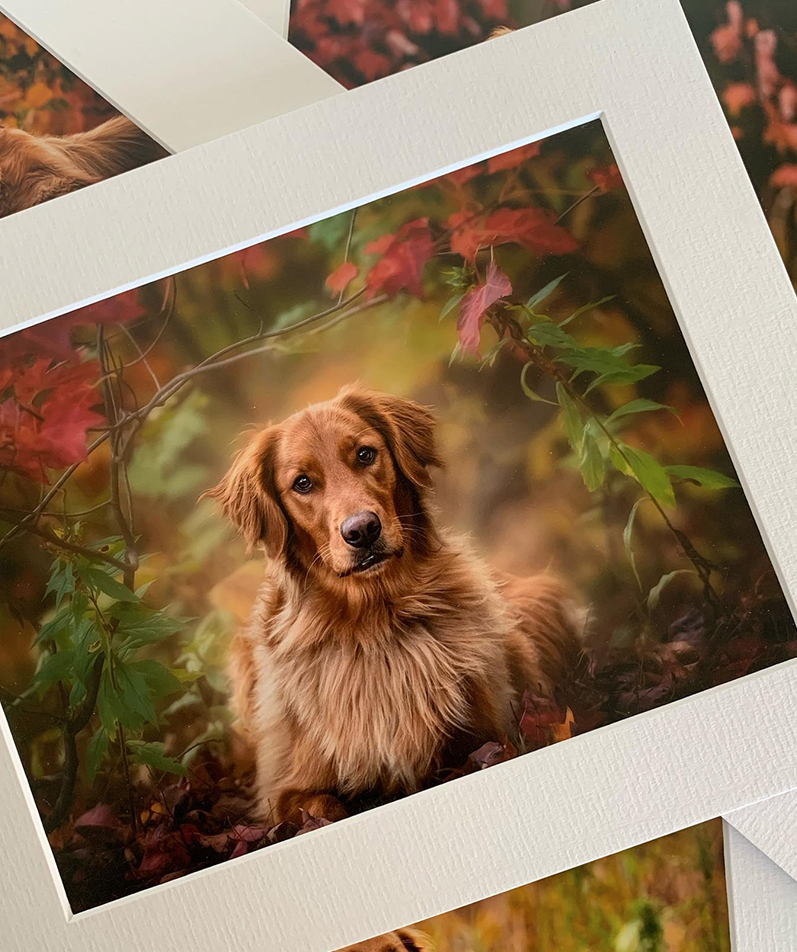 Matted Prints by Queensberry