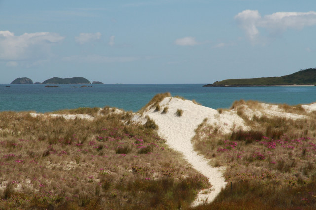 Karikari Beach
