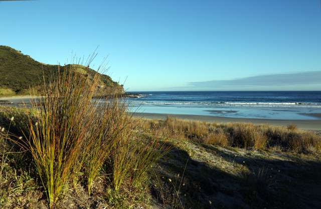 Tapotupotu Bay, Northland