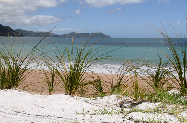 Tauranga Bay