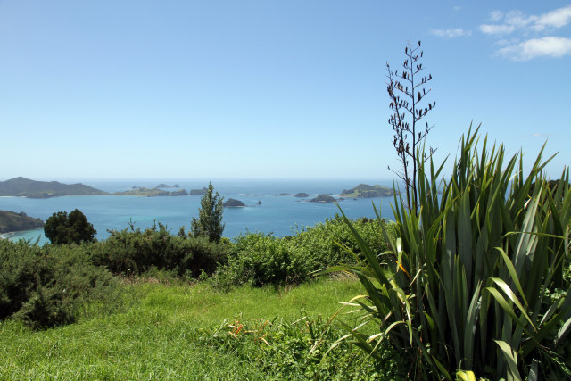 Matauri Bay