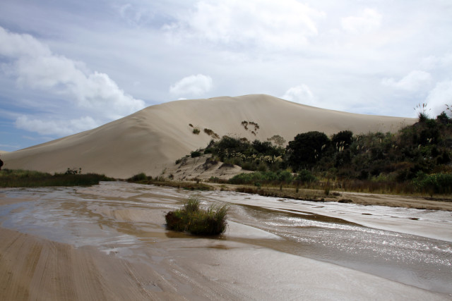 Te Paki Sanddunes