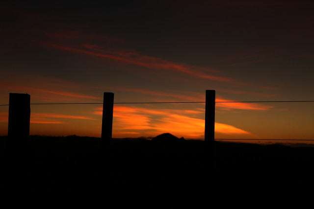 Fenced in Sunset