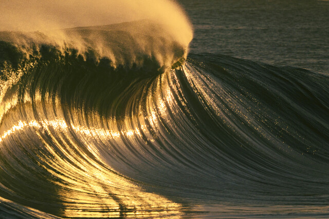 Curvaceous 