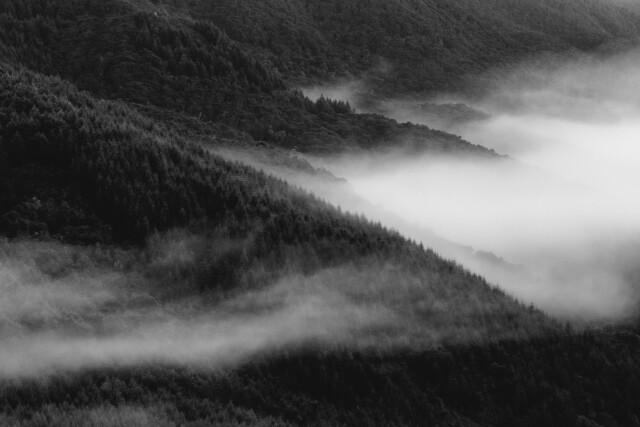 Drift