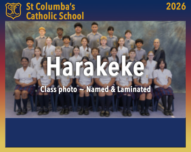 St Columba's Catholic School Classes 26