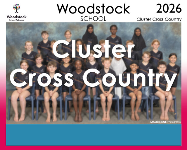 Woodstock Sports 26