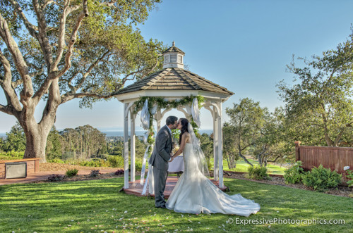 Anna and Trevor wedding