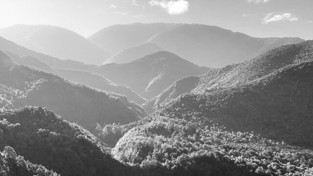 The road to Lees Valley