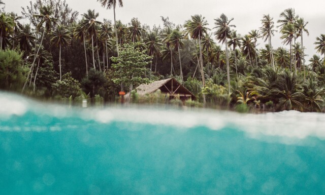 Where warm water dreams