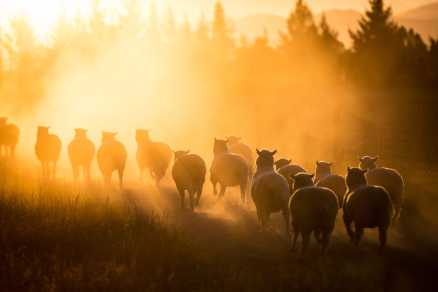 Into The Dusk