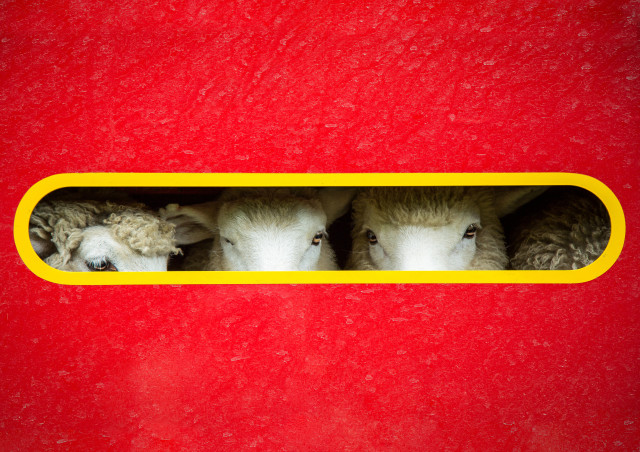 I See You
